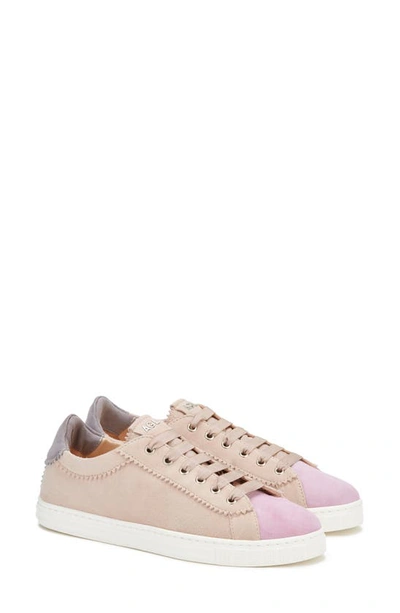 Agl Attilio Giusti Leombruni Women's Sade Low Top Sneakers In Penny/milk