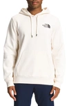 The North Face Places We Love Long Sleeve Graphic Hoodie In Gardenia White,khaki Stone