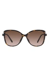 Michael Kors Malta 57mm Gradient Butterfly Sunglasses In Dk Tort