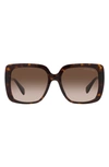 Michael Kors Mallorca 55mm Gradient Square Sunglasses In Dk Tort