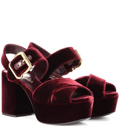 Prada Velvet Platform Sandals In Lordeaux