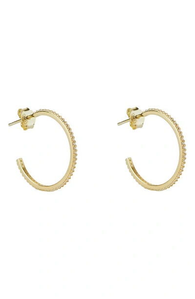 Argento Vivo Sterling Silver Medium Cubic Zirconia Hoop Earrings In Gold