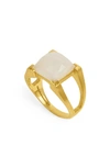 Dean Davidson Mini Plaza Moonstone Ring In Moonstone/ Gold