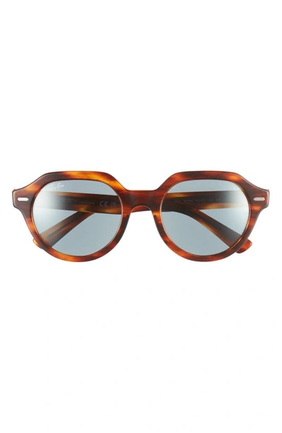 Ray Ban Gina 53mm Square Sunglasses In Striped Havana