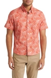 Stone Rose Jungle Print Short Sleeve Button-up Shirt In Orange