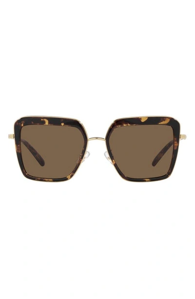 Tory Burch 53mm Square Sunglasses In Tortoise/brown Solid