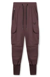 Asrv Tetra-light Cargo Joggers In Faded Plum