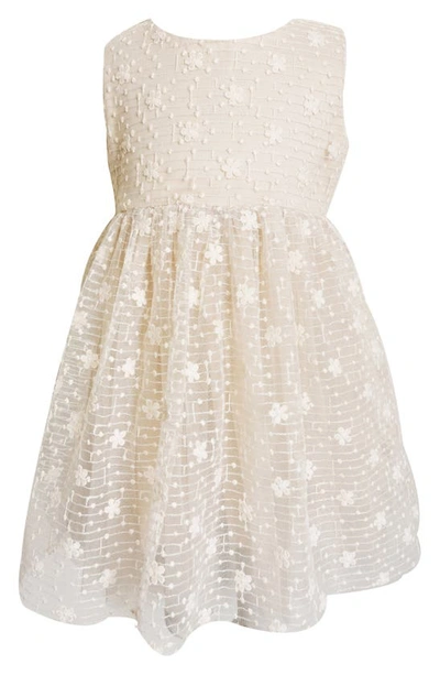 Popatu Kids' Floral Embroidered Tulle Overlay Dress In Ivory