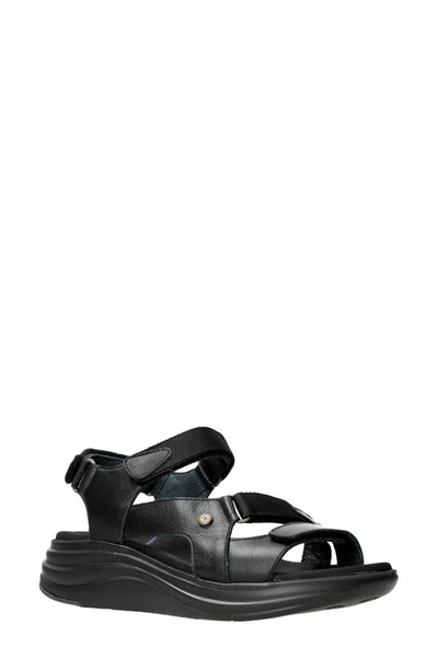 Wolky Cirro Sandal In Black