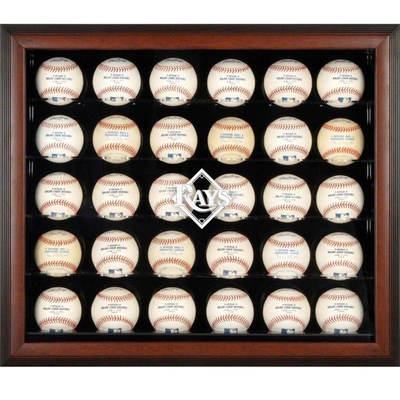 Fanatics Authentic Tampa Bay Rays Logo Brown Framed 30-ball Display Case