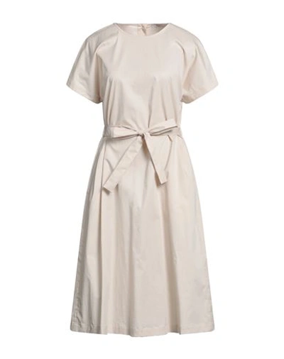 Peserico Woman Midi Dress Beige Size 6 Cotton, Elastane