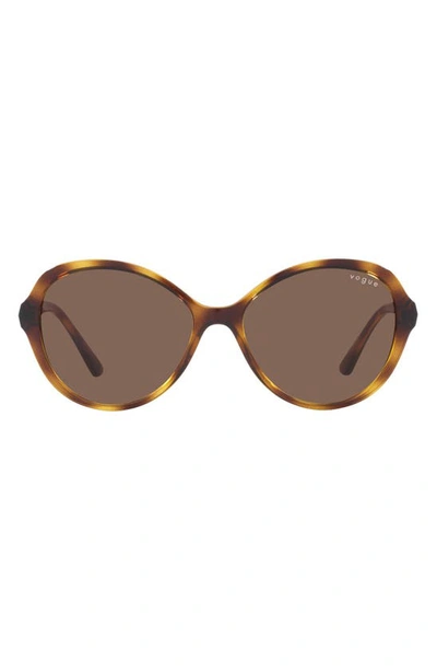 Vogue 57mm Butterfly Sunglasses In Dark Havana