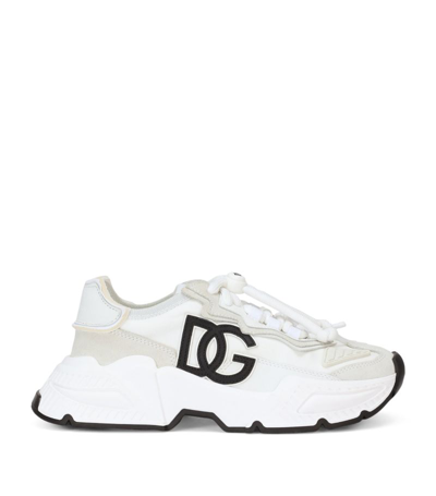 Dolce & Gabbana Kids Daymaster Trainers In Multi