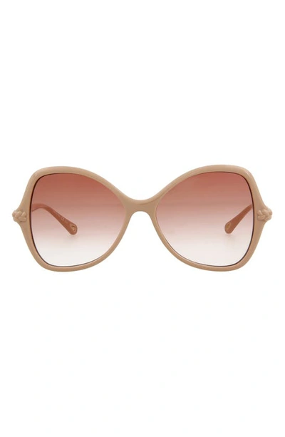 Chloé 55mm Chloe Core Sunglasses In Multi