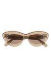 Loewe Curvy Logo 54mm Cat Eye Sunglasses In Transparent Khaki