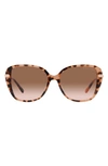 Michael Kors Flatiron 56mm Gradient Square Sunglasses In Pink Tortoise