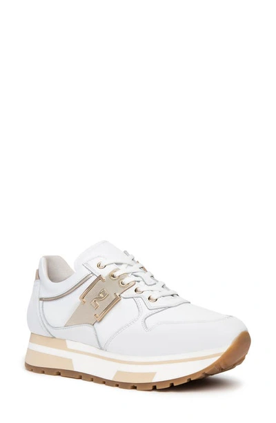 Nerogiardini Logo Plate Leather Low-top Fashion Sneakers In White / Gold