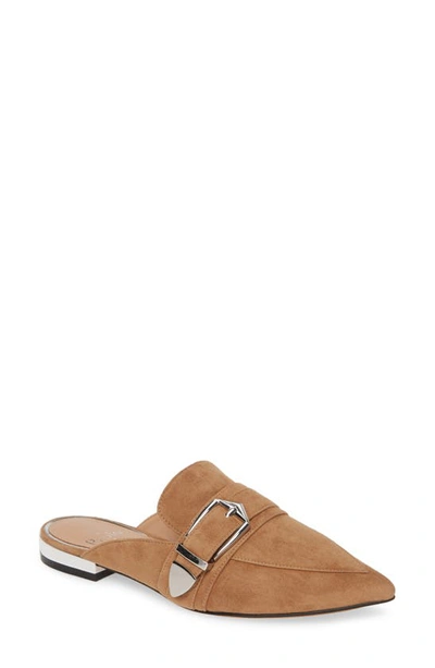 Linea Paolo Ace Buckle Pointed Toe Mule In Tan Suede