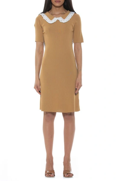 Alexia Admor Women's Kacey Collared Sweater Dress In Camel