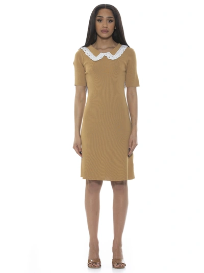 Alexia Admor Kacey Dress In Brown