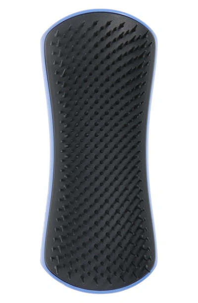 Tangle Teezer Large Detangling Dog Grooming Brush In Blue And Grey