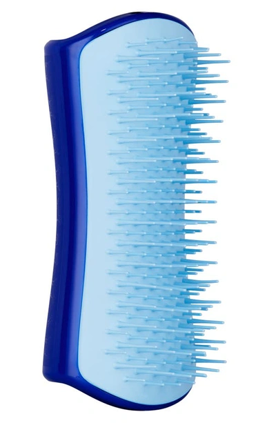 Tangle Teezer Small De-shedding Dog Brush In Navy And Sky Blue