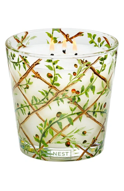 Nest New York Santorini Olive And Citron Specialty 3 Wick Candle, 21.2 Oz.