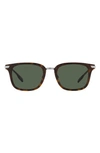 Burberry Peter 51mm Square Sunglasses In Dk Havana