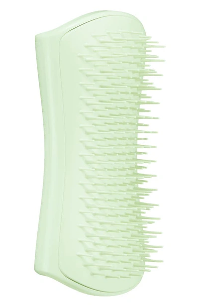 Tangle Teezer Puppy Grooming Dog Brush In Mint