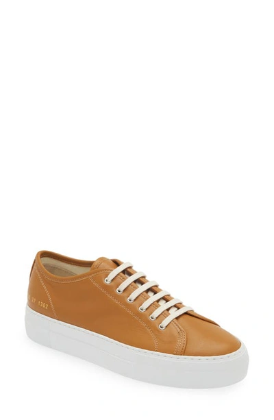 Common Projects Tournament Classic Low Top Sneaker In Tan