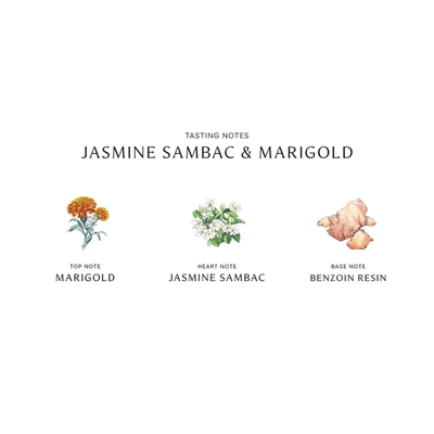 Jo Malone London Jasmine Sambac And Marigold Cologne Intense In 50 ml