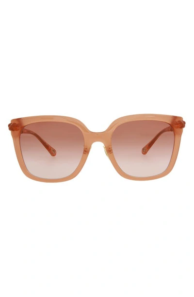 Chloé Core 56mm Square Sunglasses In Brown