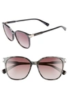 Longchamp Women's Le Pliage Family Square Sunglasses, 53mm In Black/brown