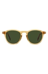 David Beckham Eyewear 49mm Round Sunglasses In Yellow Havana / Green