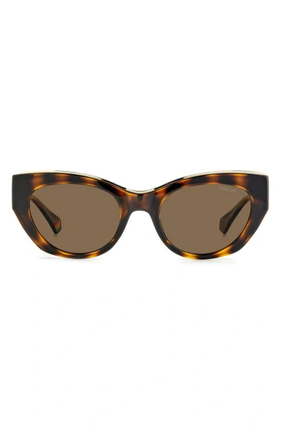 Polaroid 50mm Polarized Cat Eye Sunglasses In Havana/ Bronze Polarized