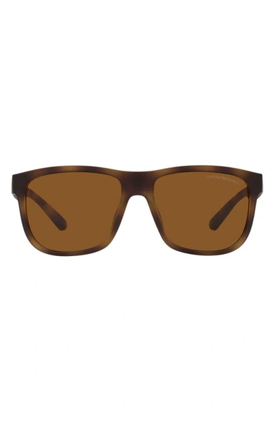 Armani Exchange 57mm Pillow Sunglasses In Matte Havana / Dark Brown
