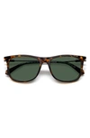 Havana/ Green Polarized