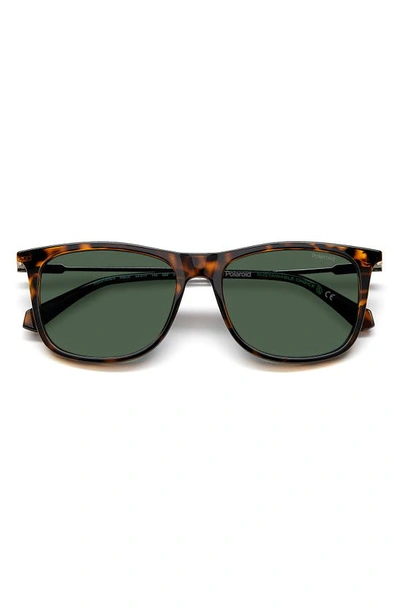 Polaroid 55mm Polarized Rectangular Sunglasses In Havana/ Green Polarized