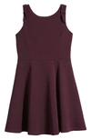 Ava & Yelly Kids' Ruffle Sleeveless Skater Dress In Plum