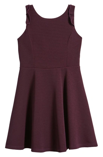 Ava & Yelly Kids' Ruffle Sleeveless Skater Dress In Plum