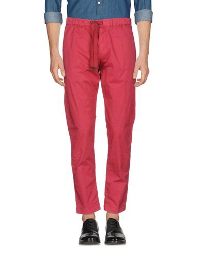 Myths Pants In Garnet