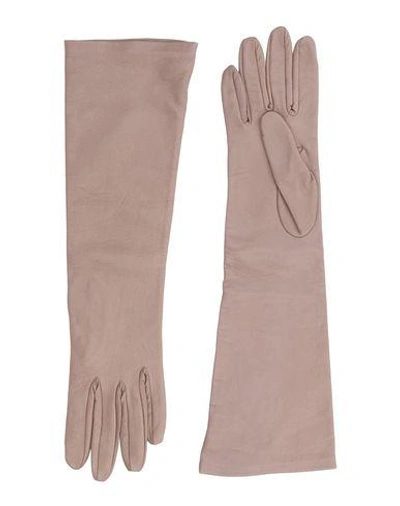 Dsquared2 Gloves In Dove Grey