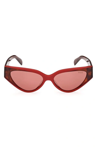 Emilio Pucci 55mm Cat Eye Sunglasses In Red/ Other / Bordeaux