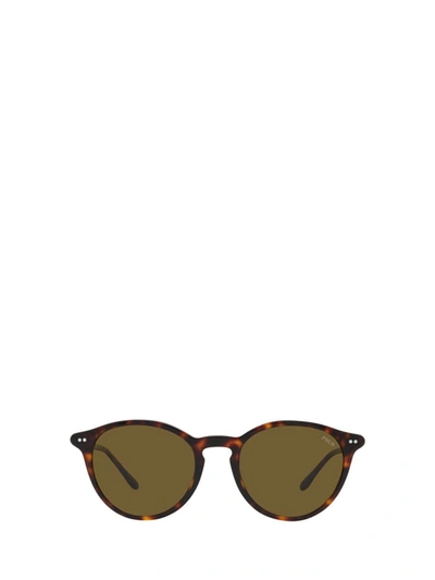 Polo Ralph Lauren Sunglasses In Shiny Beige Tortoise