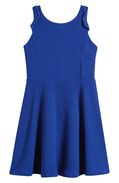 Ava & Yelly Kids' Ruffle Sleeveless Skater Dress In Royal