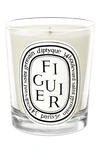 Diptyque Figuier (fig) Scented Candle, 6.5 oz In Clear Vessel