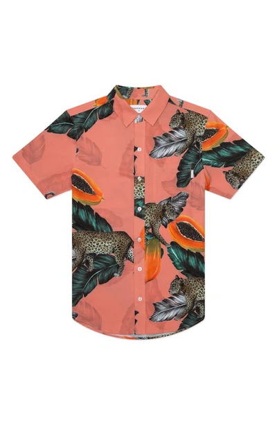 Mavrans Fruta Bomba Shirt In Tangerine