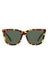Polo Ralph Lauren 55mm Square Sunglasses In Brown Multi