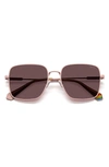 Polaroid 56mm Polarized Square Sunglasses In Matte Pink/ Violet Polar