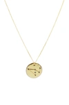 Panacea Zodiac Pendant Necklace In Gold Capricorn